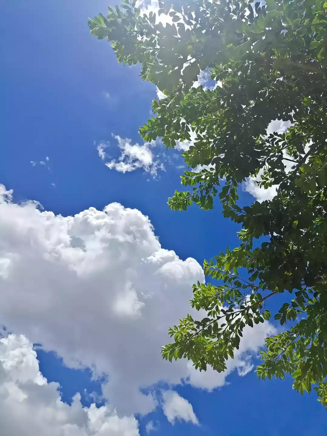 Cloud Photography