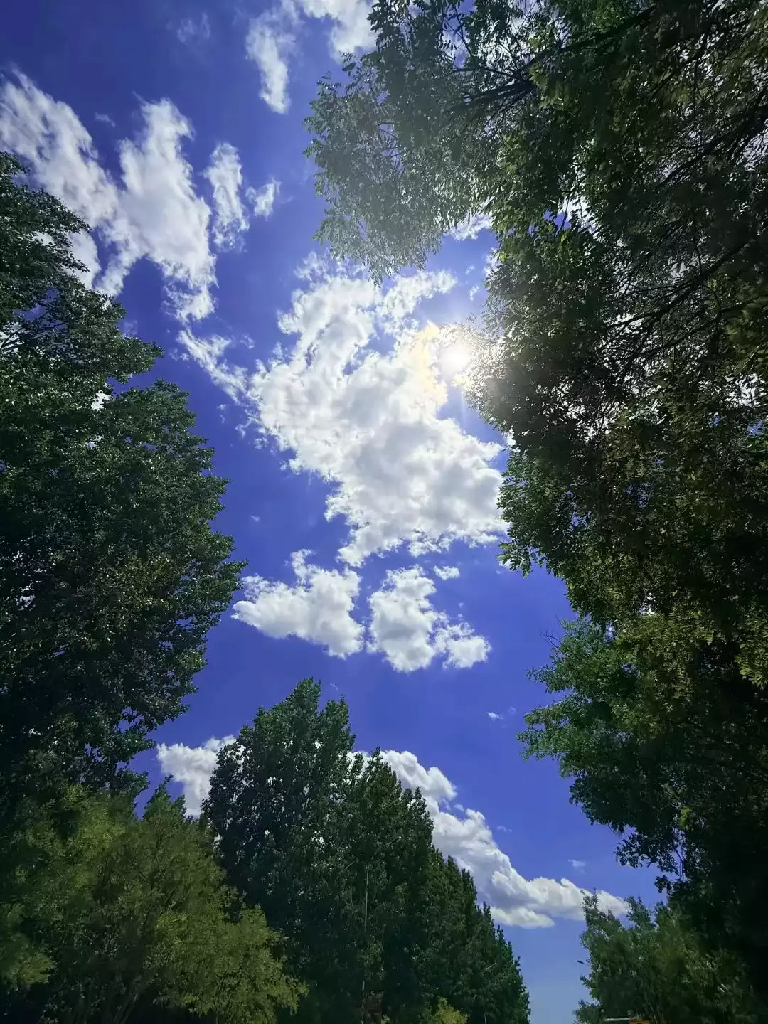Cloud Photography